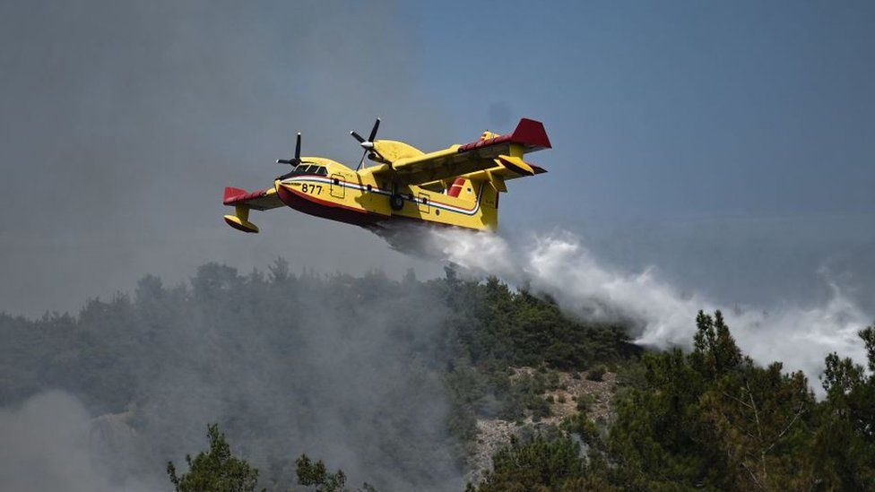 A plane drops water over wildfires spreading in Dadia forest, one of the most important areas in Europe for birds of prey