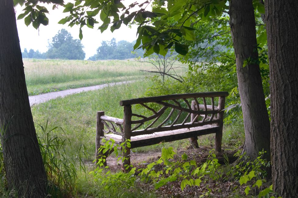 A bench in a rural landscape