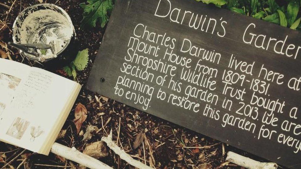 A sign in the garden
