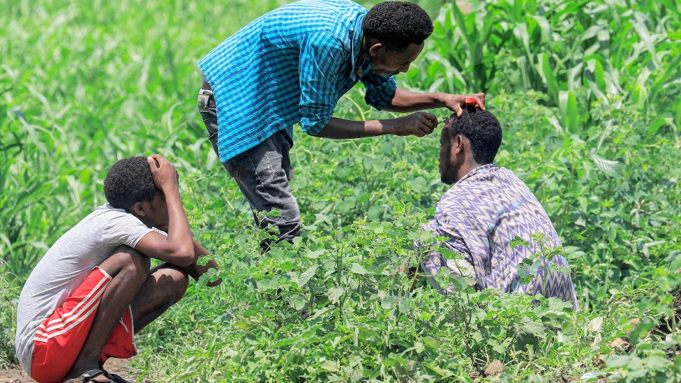 A man sitting crouched by shrubs has his hair cut by another man with a razor at a camp for Ethiopian refugees of the Qemant ethnic group in the village of Basinga in Basunda district of Sudan's eastern Gedaref region on August 10, 2021