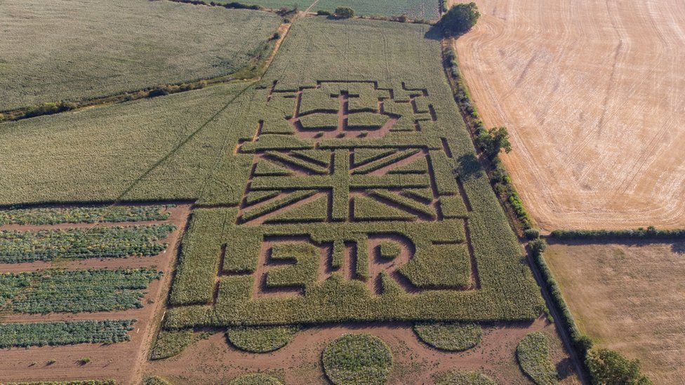 A tribute to Queen Elizabeth II made out of maize in a field in Northamptonshire