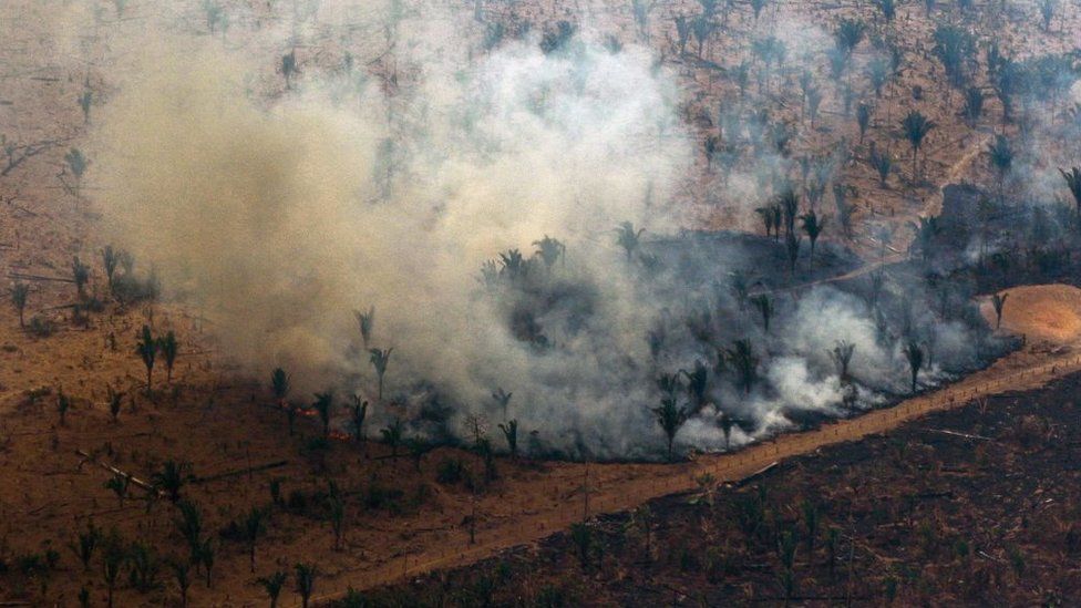 Smoke billows from a patch of forest in the Amazon