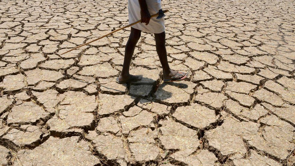 Indian farmer in dried up cotton field at east of Hyderabad on 25 April 2016