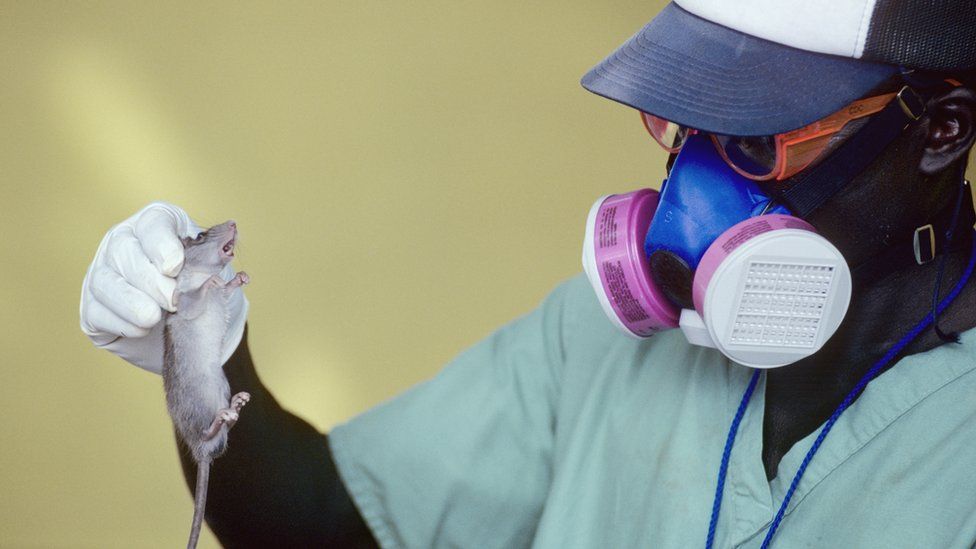 Health worker during an outbreak of Lassa Fever in the village of Serabu near Kenema, Sierra Leone