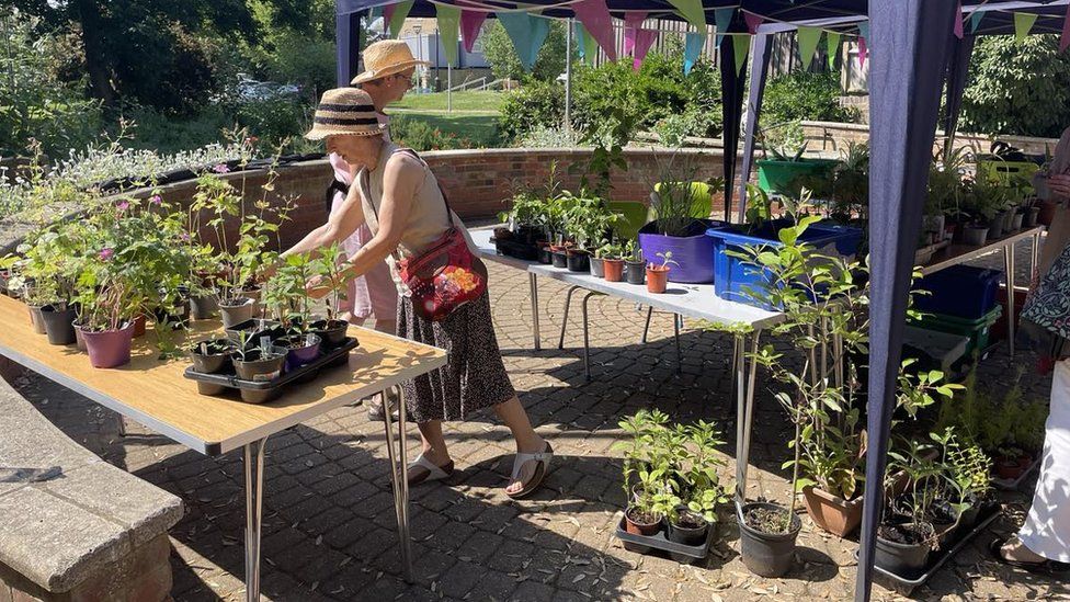 A plant sale by The Higgins, Bedford