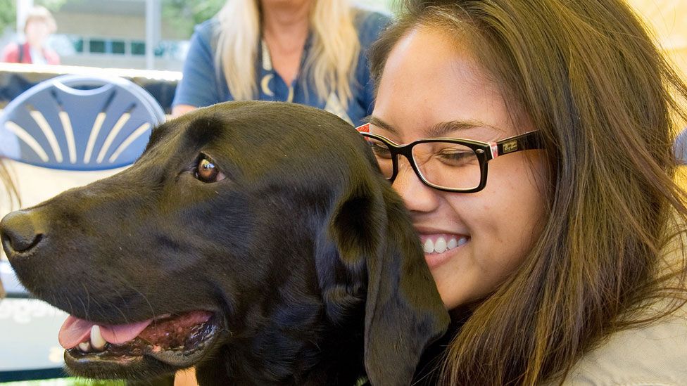 Dogs on campus