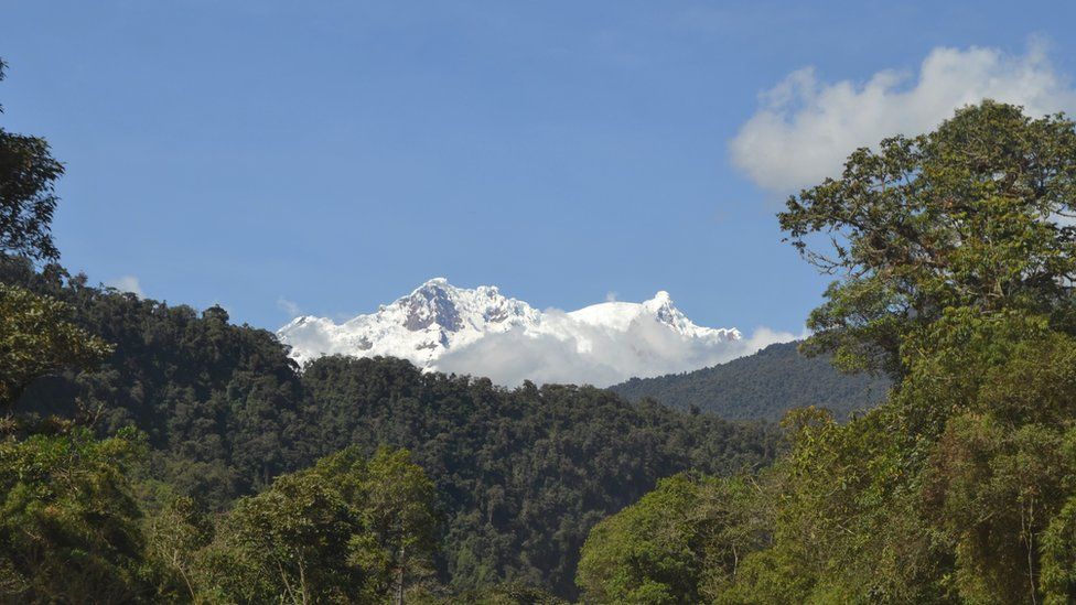 A snow topped volcano with a forest in the foreground