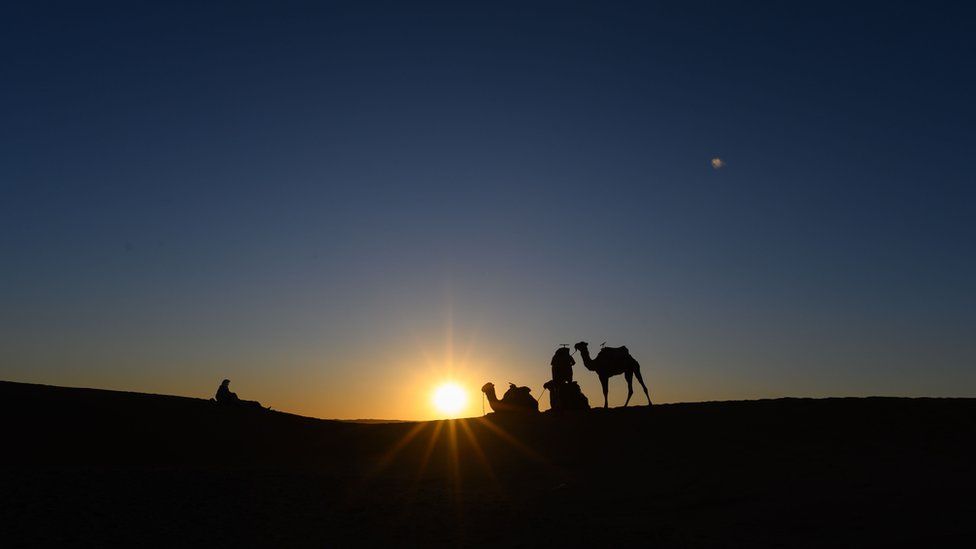 Camels are pictured at sunset prior the arrival of the competitors during the desert trek "Rose Trip Maroc", on November 1, 2019 in the erg Chebbi near Merzouga. - The Rose Trip Maroc is a female-oriented trek where teams of three must travel through the southern Moroccan Sahara desert with a compass, a map and a topographical reporter.