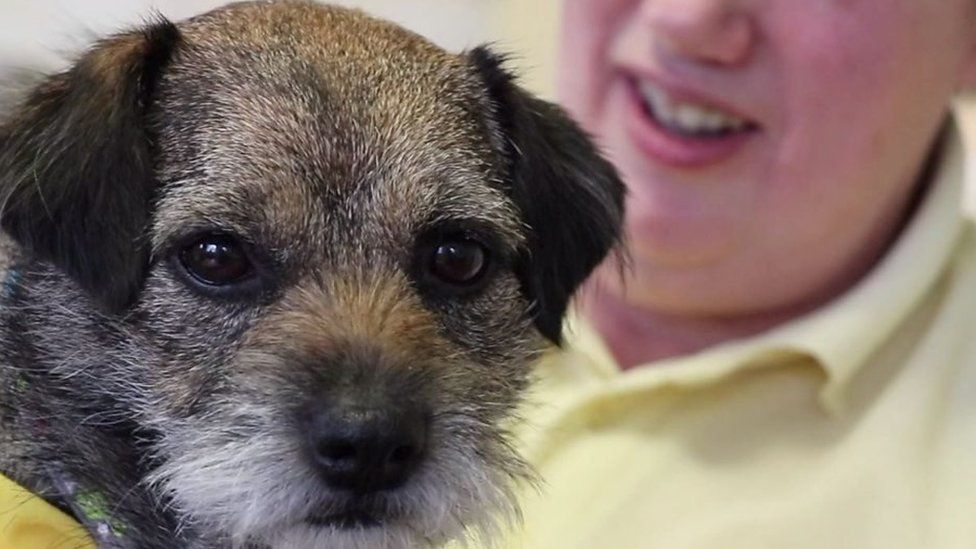 Bella the dog and Mr Ginger the cat visit elderly residents as therapy pets.