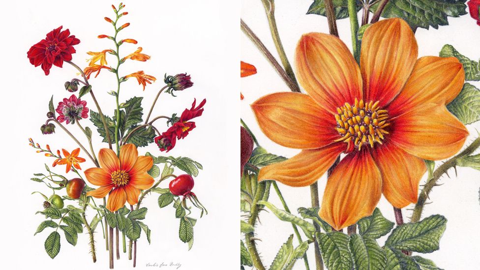 Late summer flowers (full and in detail) by Caroline Buckley