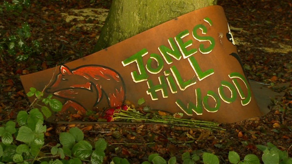 Jones Hill Wood