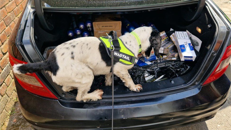 Police dog and illegal tobacco in car boot