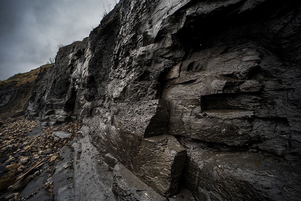 Kimmeridge Clay cliffs