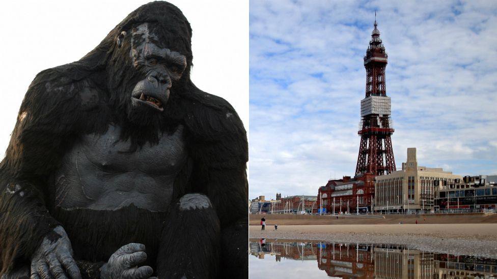 Blackpool to stage King Kong 'reimagining' BBC News