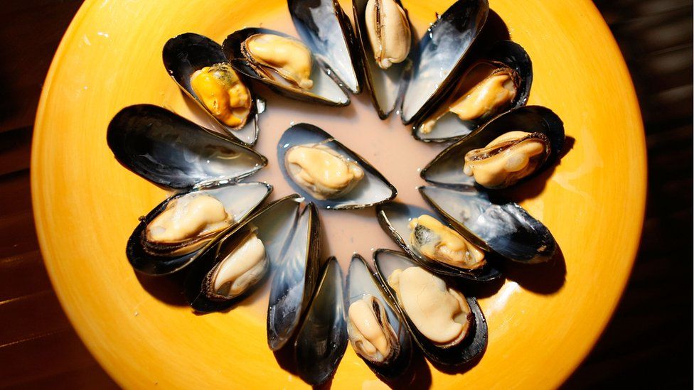 Plate of mussels