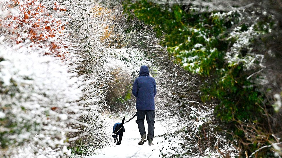 A dog walker on a snow covered path at Woodingdean just east of Brighton on 8 March 2023