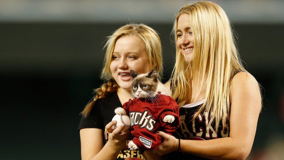 Grumpy cat, dressed in baseball shirt, appearing in Arizona in 2015 with her owners Chrystal and Tabatha Bundesen