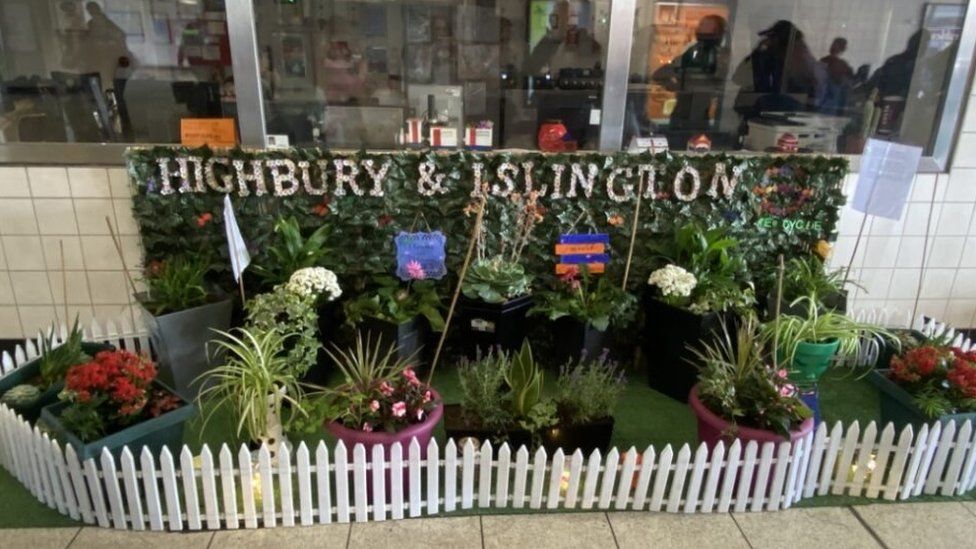 Potted plants adorn a green display inside Highbury and Islington station.