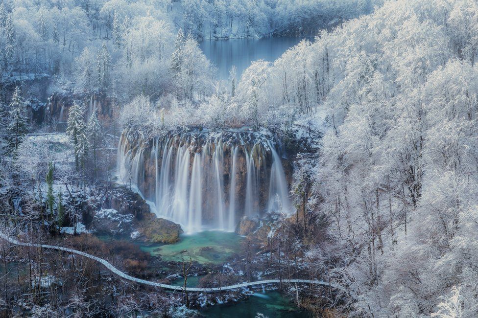 A snow-covered forest and a waterfall