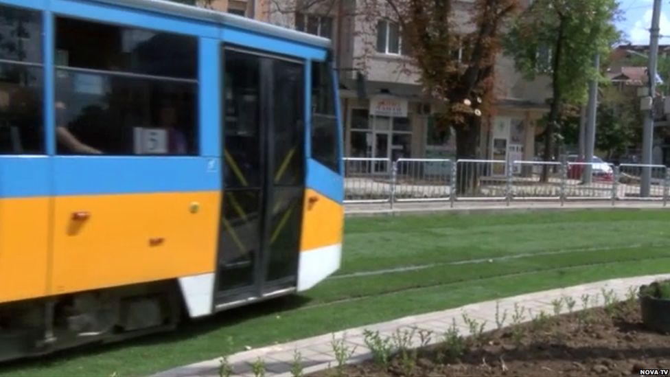 A tram running on the grass-covered tracks