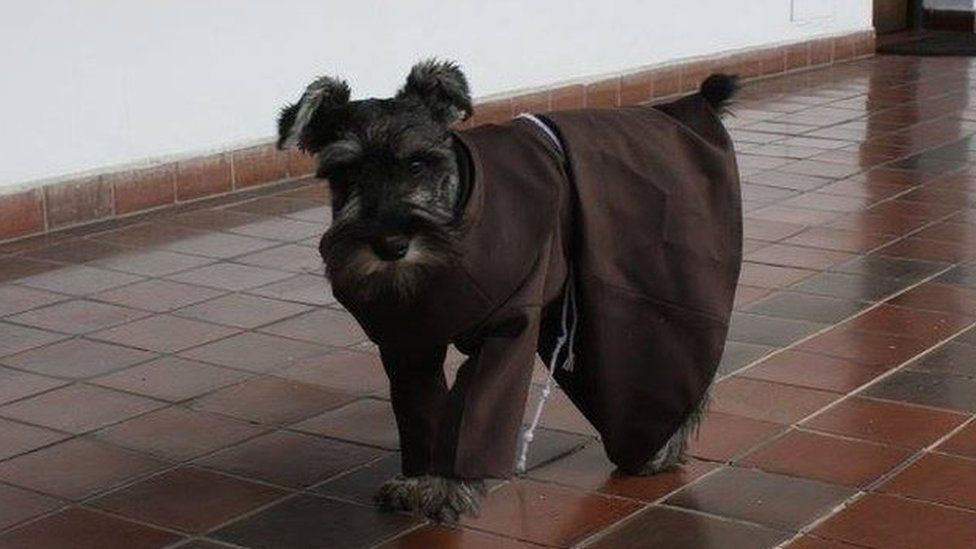 Friar Carmelo, the Bolivian dog