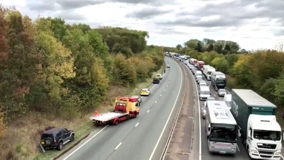 Cows put down after trailer overturns on A46 in Leicestershire