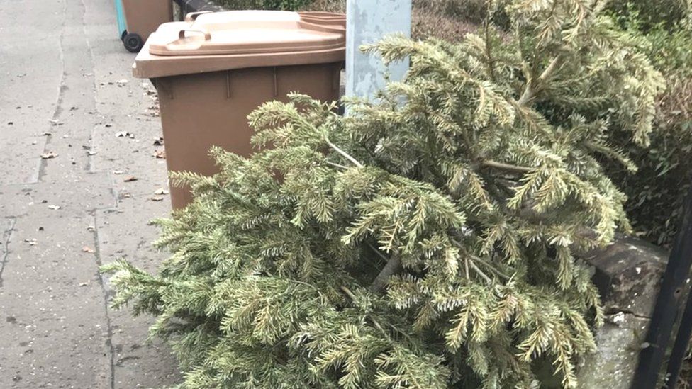 Christmas tree to be recycled