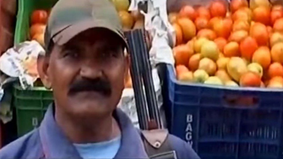 Guard in front of tomatoes