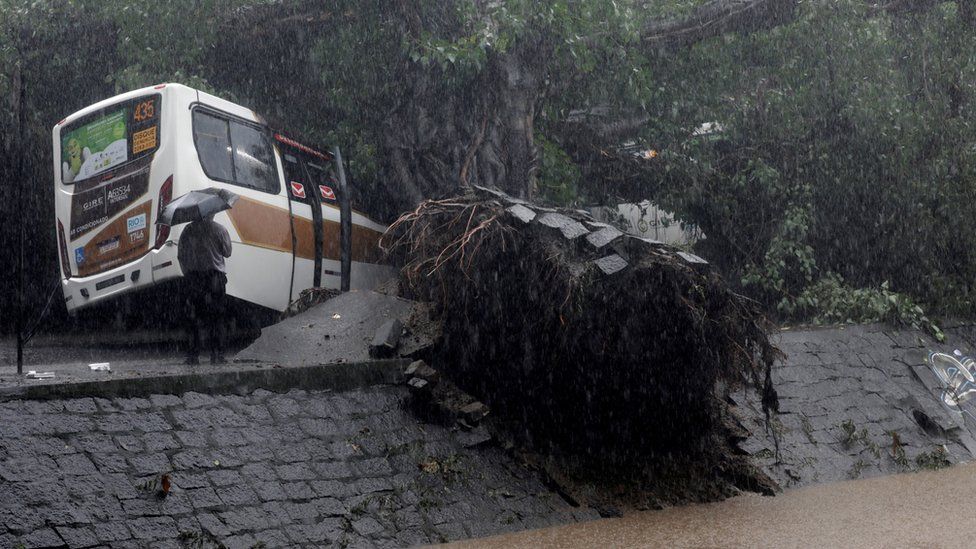 A bus is left destroyed by a fallen tree