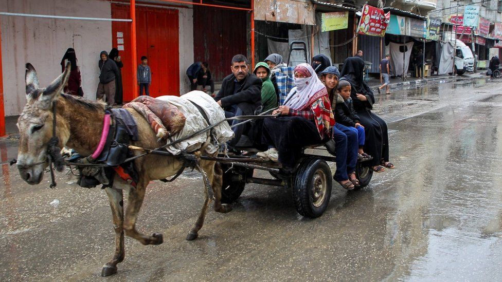 Palestinians usage  a donkey and cart aft  being ordered to evacuate eastbound   Rafah, successful  the confederate  Gaza Strip (6 May 2024)