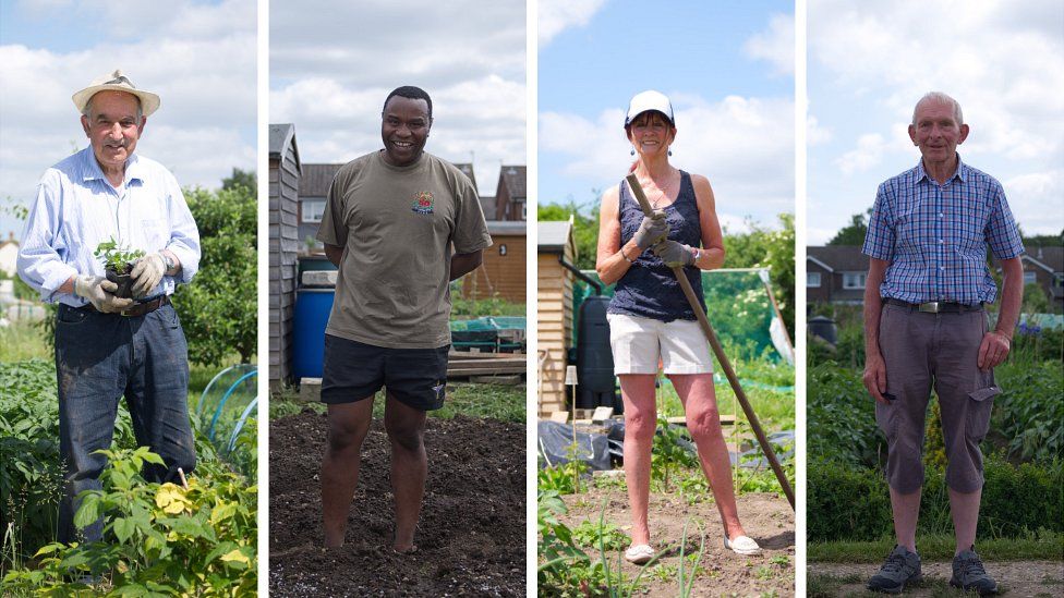 Four of the allotmenteers