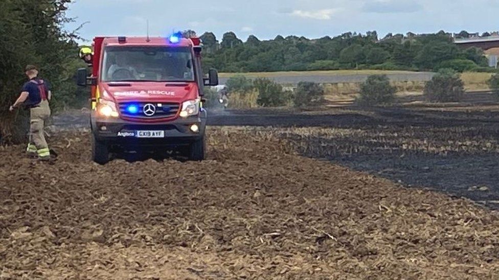East Tilbury heathland fires put out by fire crews BBC News