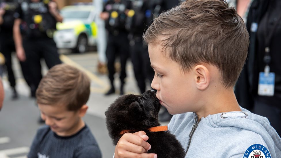 Oscar with a police puppy