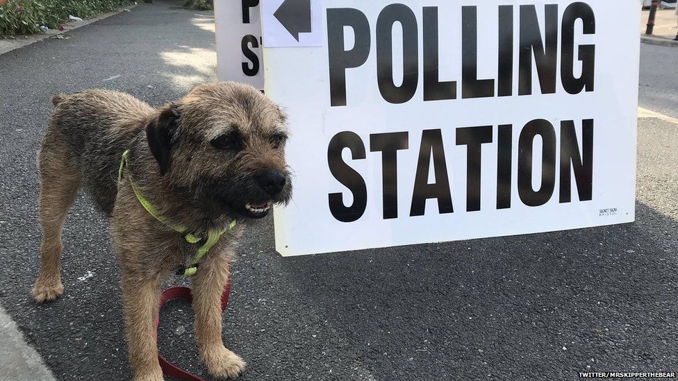 General election 2019: What to expect in the next few weeks - BBC Newsround