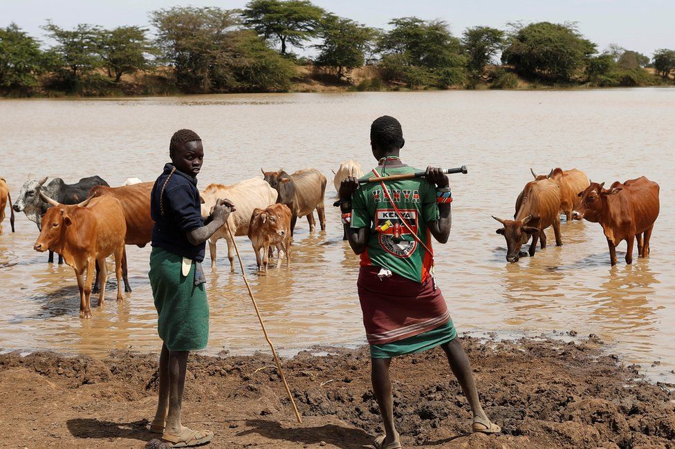 Men from the Pokot ethnic group stand by a lake with their cattle, Kenya - Saturday 11 February 2017