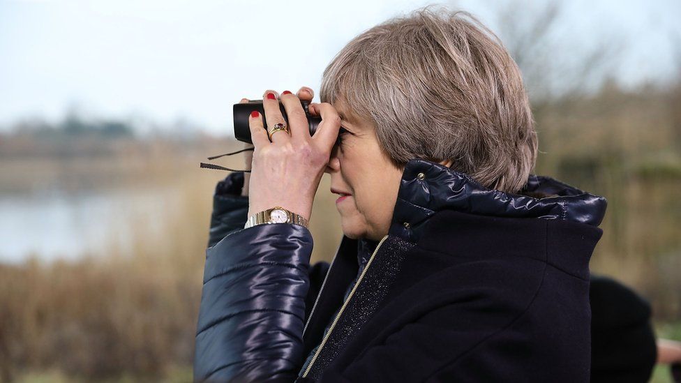 Theresa May looking through binoculars