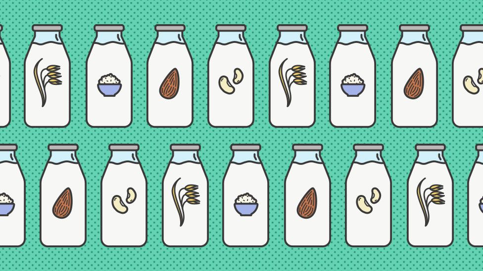 illustration of plant based milks
