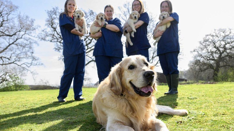 Trigger and charity workers with his puppies