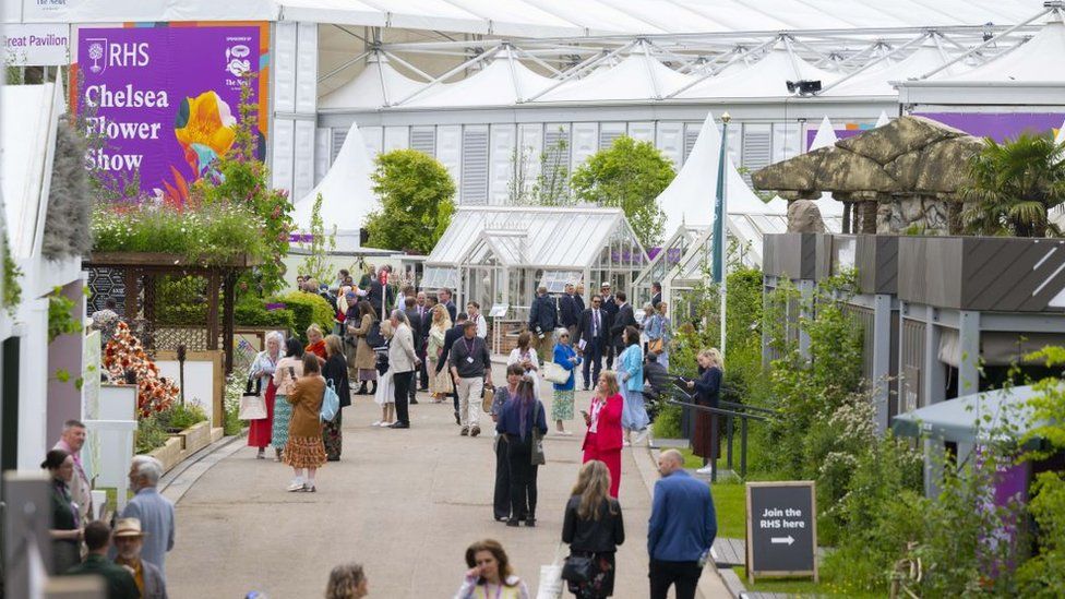 Chelsea Flower Show 2023: Check Out These Amazing Pictures From The