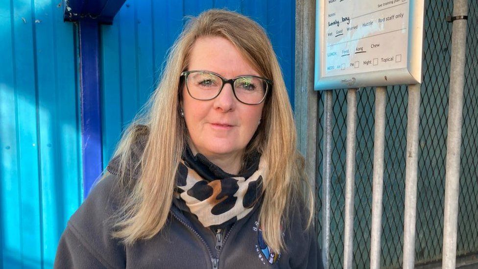 Bristol Animal Rescue Centre's plea for help after flood BBC News