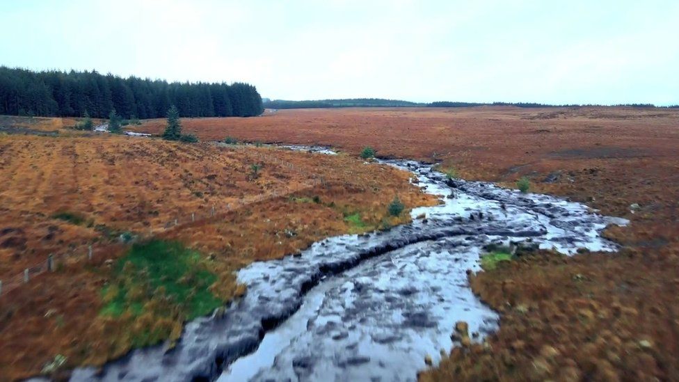 Aftermath of peat bog slide in County Donegal