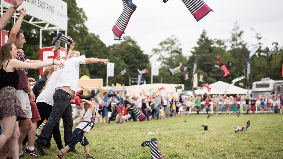 In Pictures: The New Forest Show 2016 - BBC News