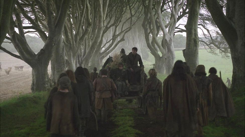The Dark Hedges outside Ballymoney are a draw for Game of Throne fans