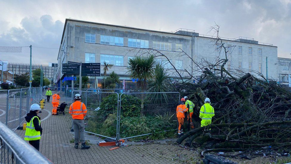 Plymouth trees Work begins on clearing Armada Way BBC News