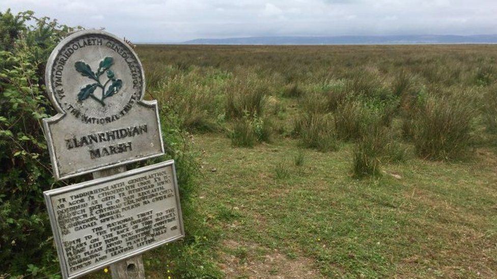 Llanrhidian marshes in the Gower