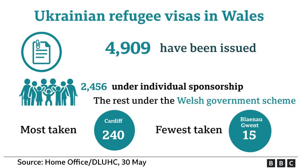 Ukrainian refugees statistics graphic