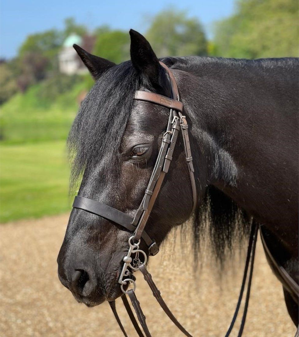 New photo of Queen's fell pony Emma released after funeral attendance ...