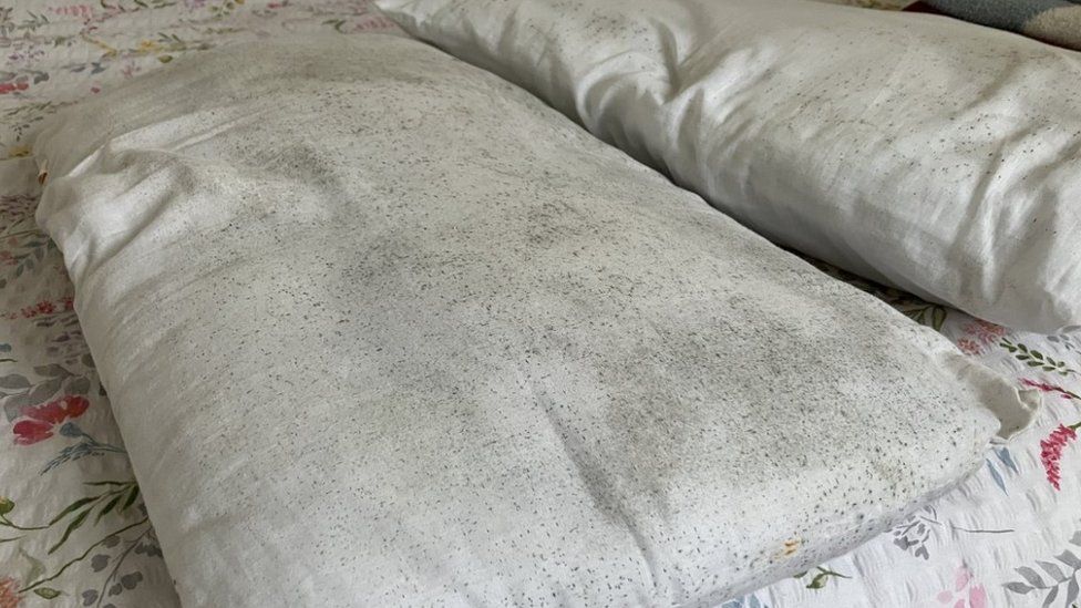 Bedding with mould spores