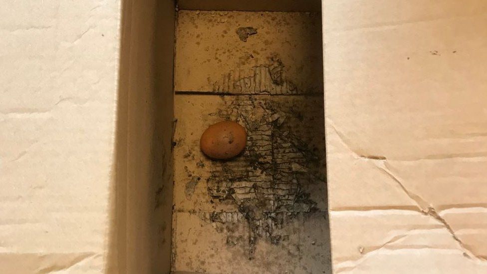 Egg in a box