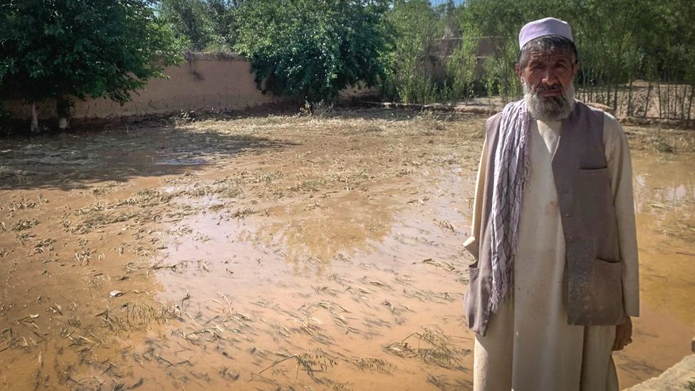Mohammad Rasool stands in front of a field with crops covered in muddy brown water